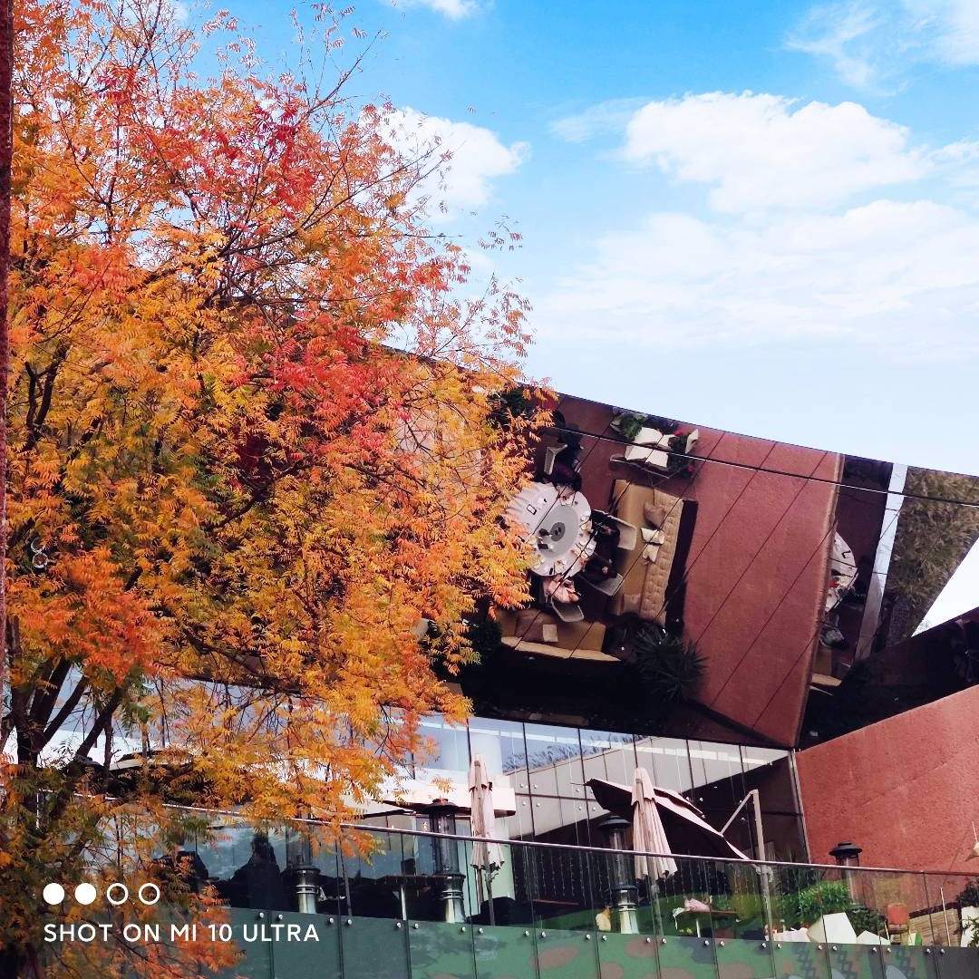 u客直谈实名认证董琪