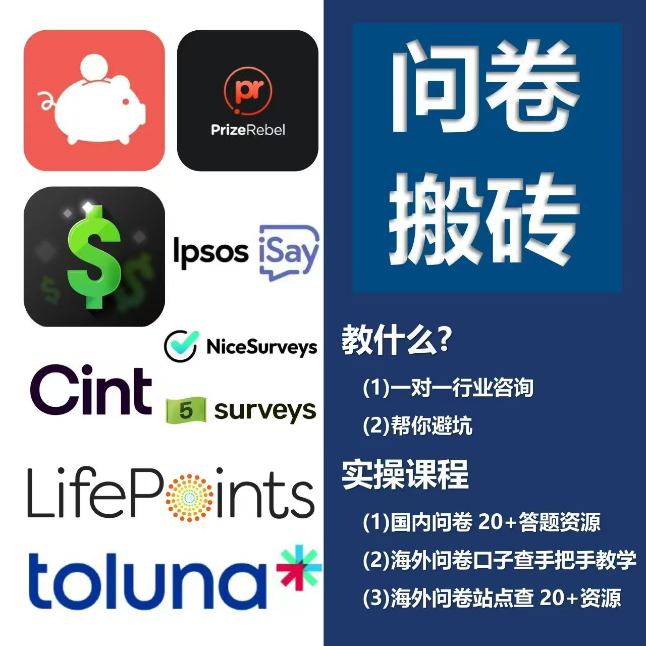 张先生找合伙人1V1免费教，海外国外问卷调查、视频教程咨询就送，日结
