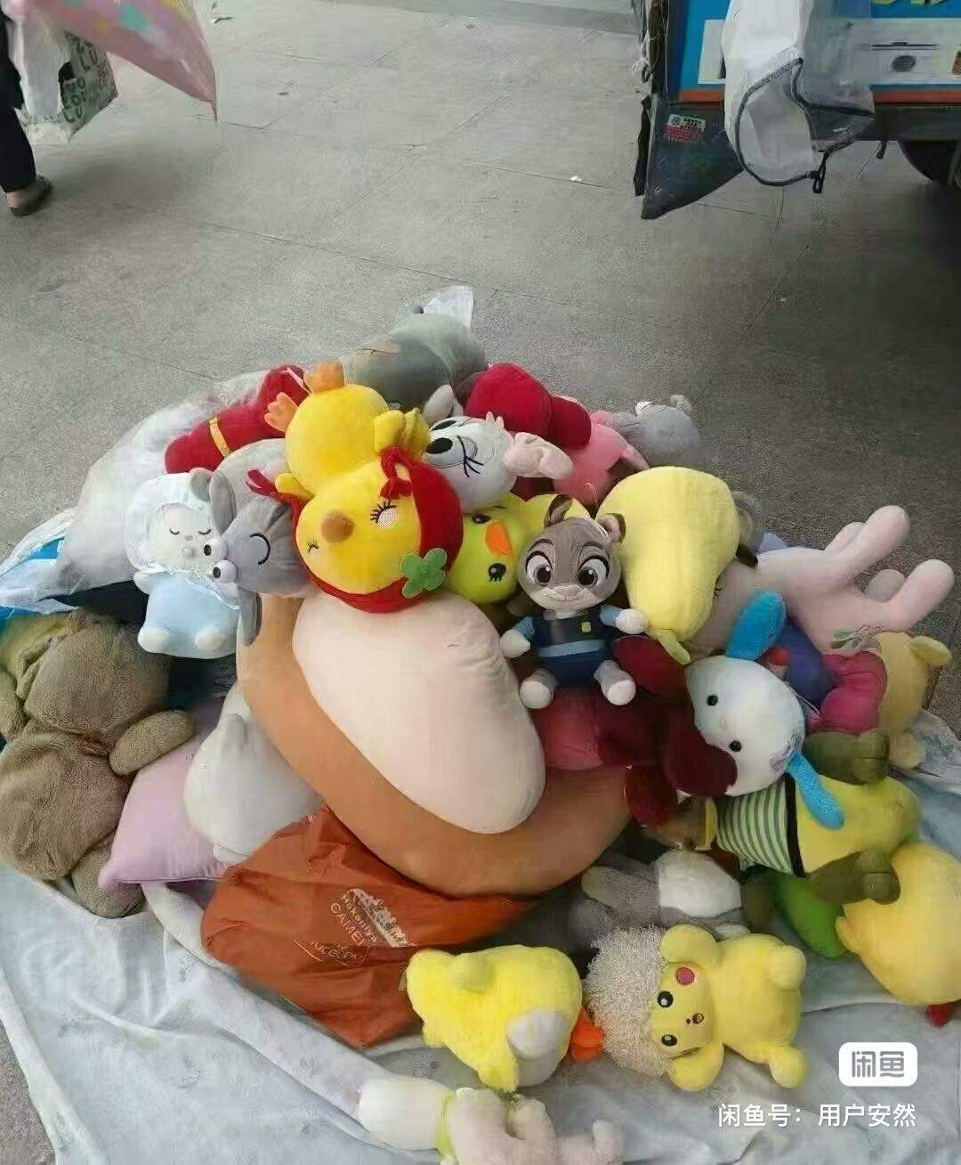 谢成成找合伙人旧衣回收代理，***，实现被动收入