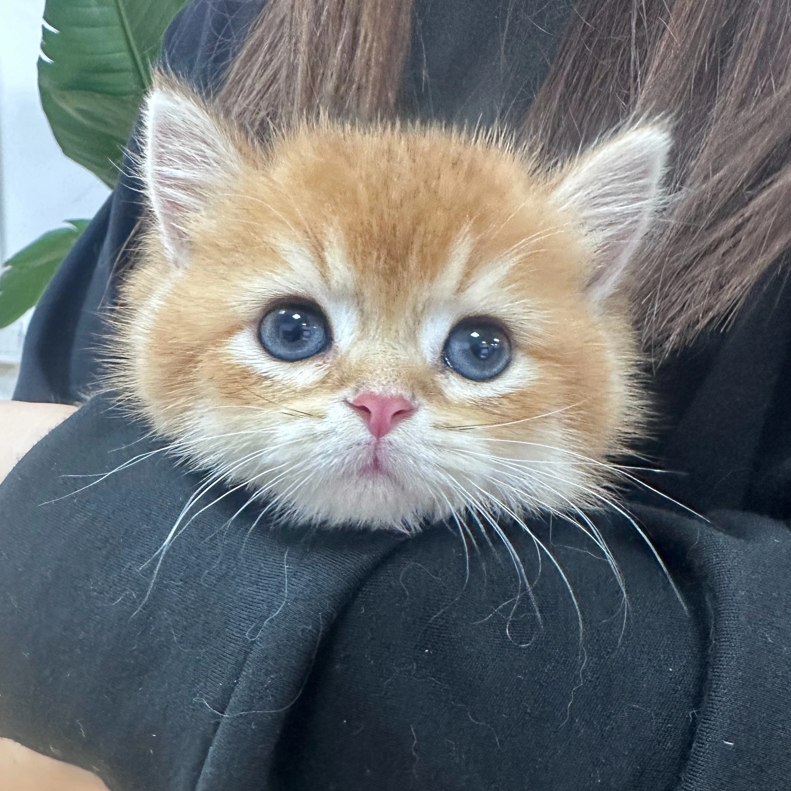 王睿尔