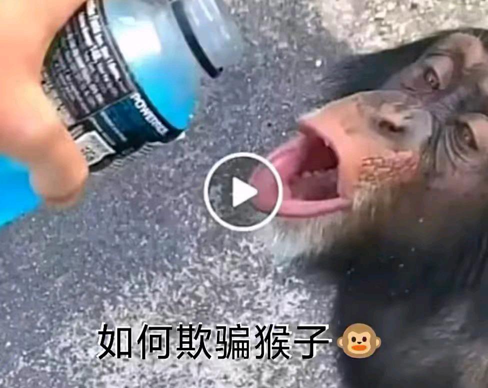 陈先生推广团队小红书闲鱼，微信群发引流，小程序合作