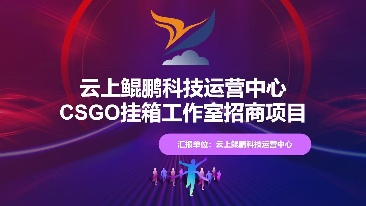 黄建其他供需CSGO 搬砖变现、创业、合作