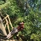 u客直谈实名认证刘超