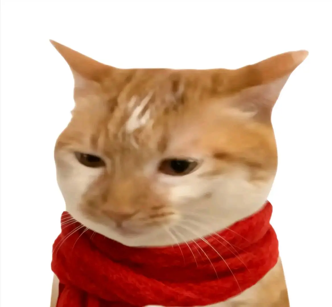 聂女士
