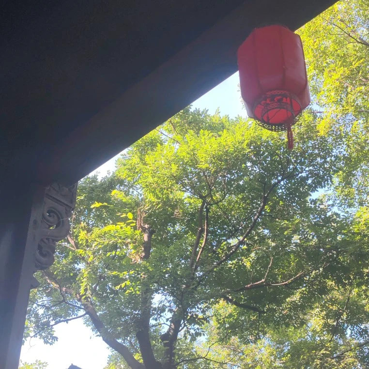 吴女士头像