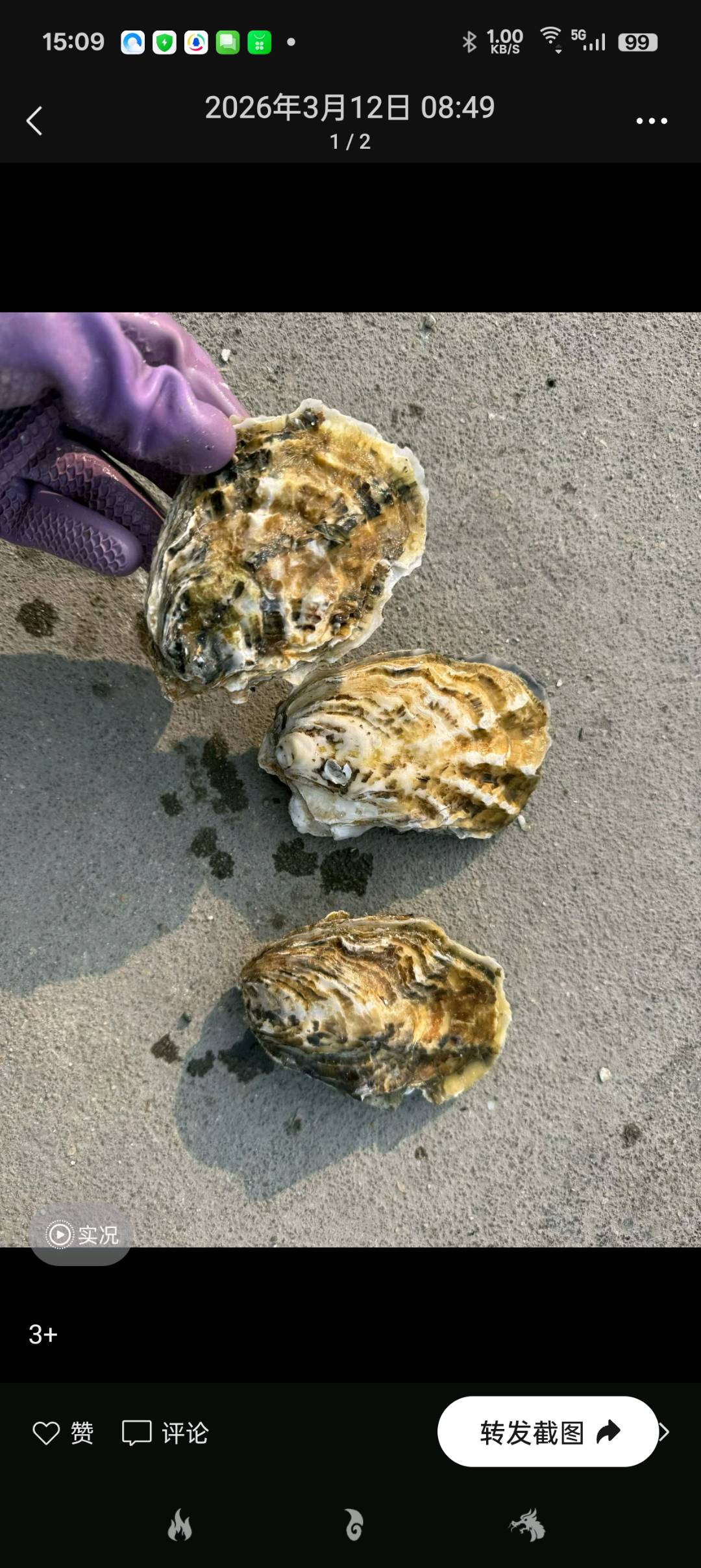 高晓林品牌货源