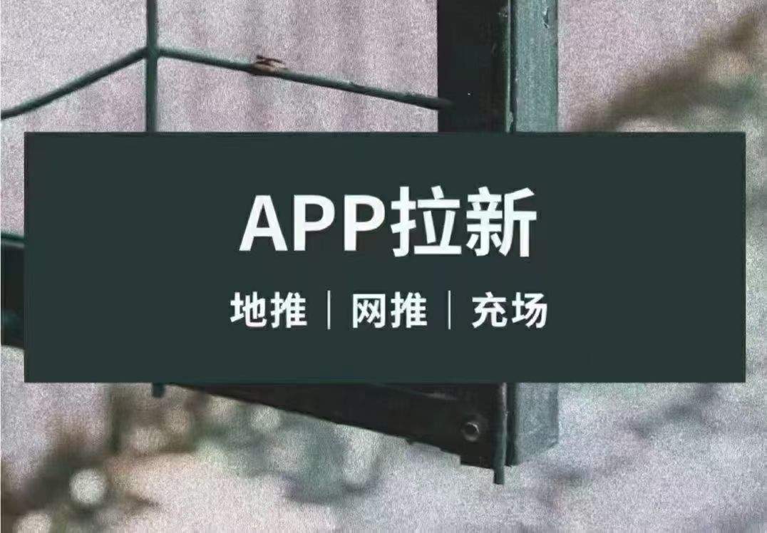 严如找合伙人