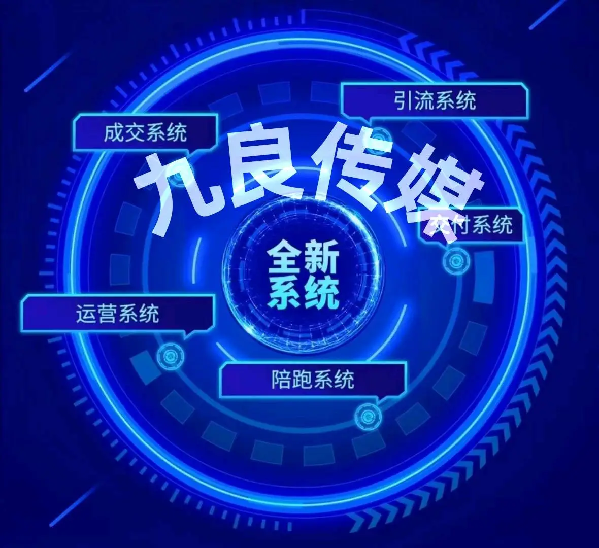 杨先生