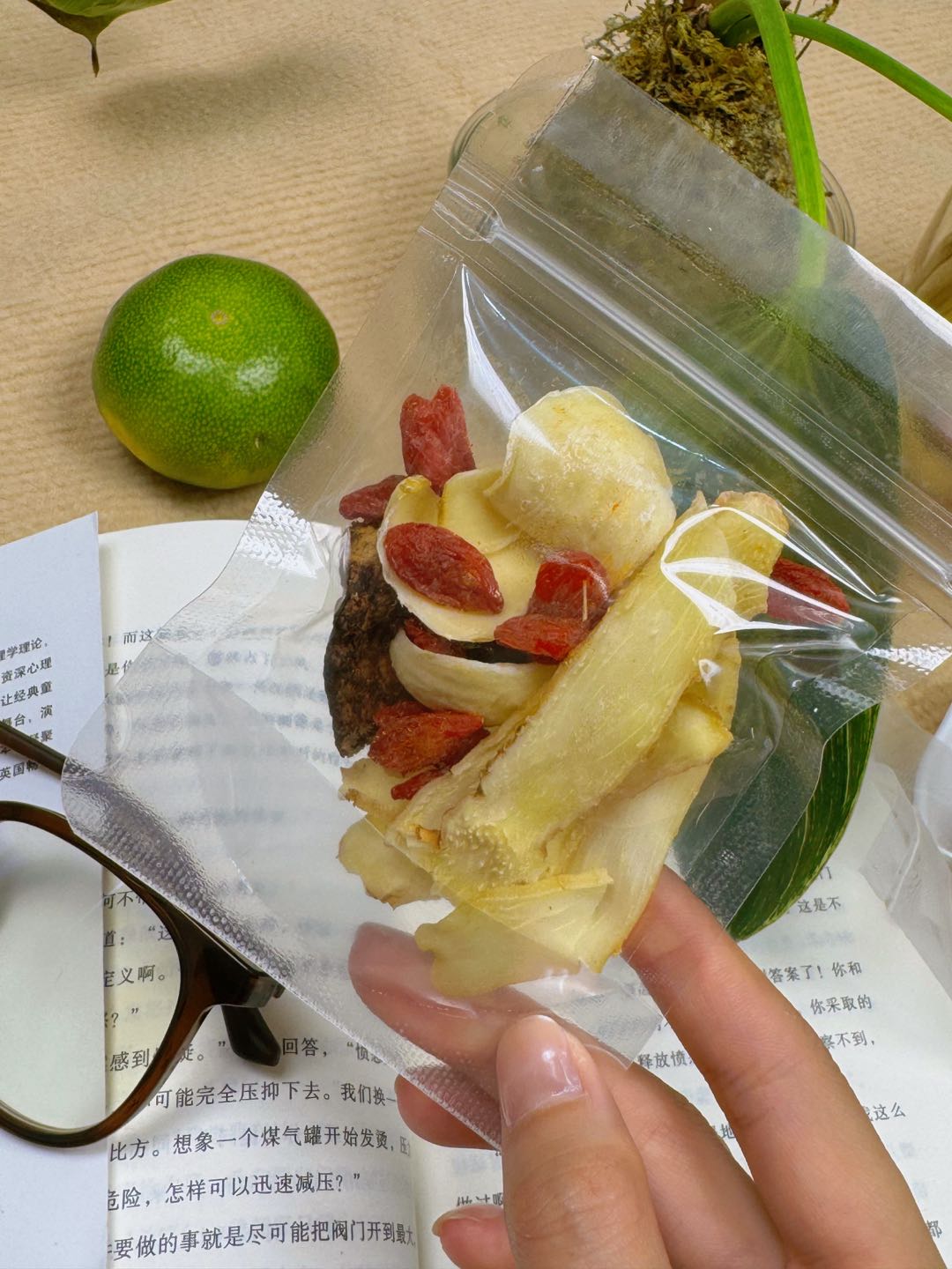 黄先生花茶一件代发，电商/宝妈/微商分销，原料可见、零囤货，0 门槛