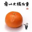 王茂宇