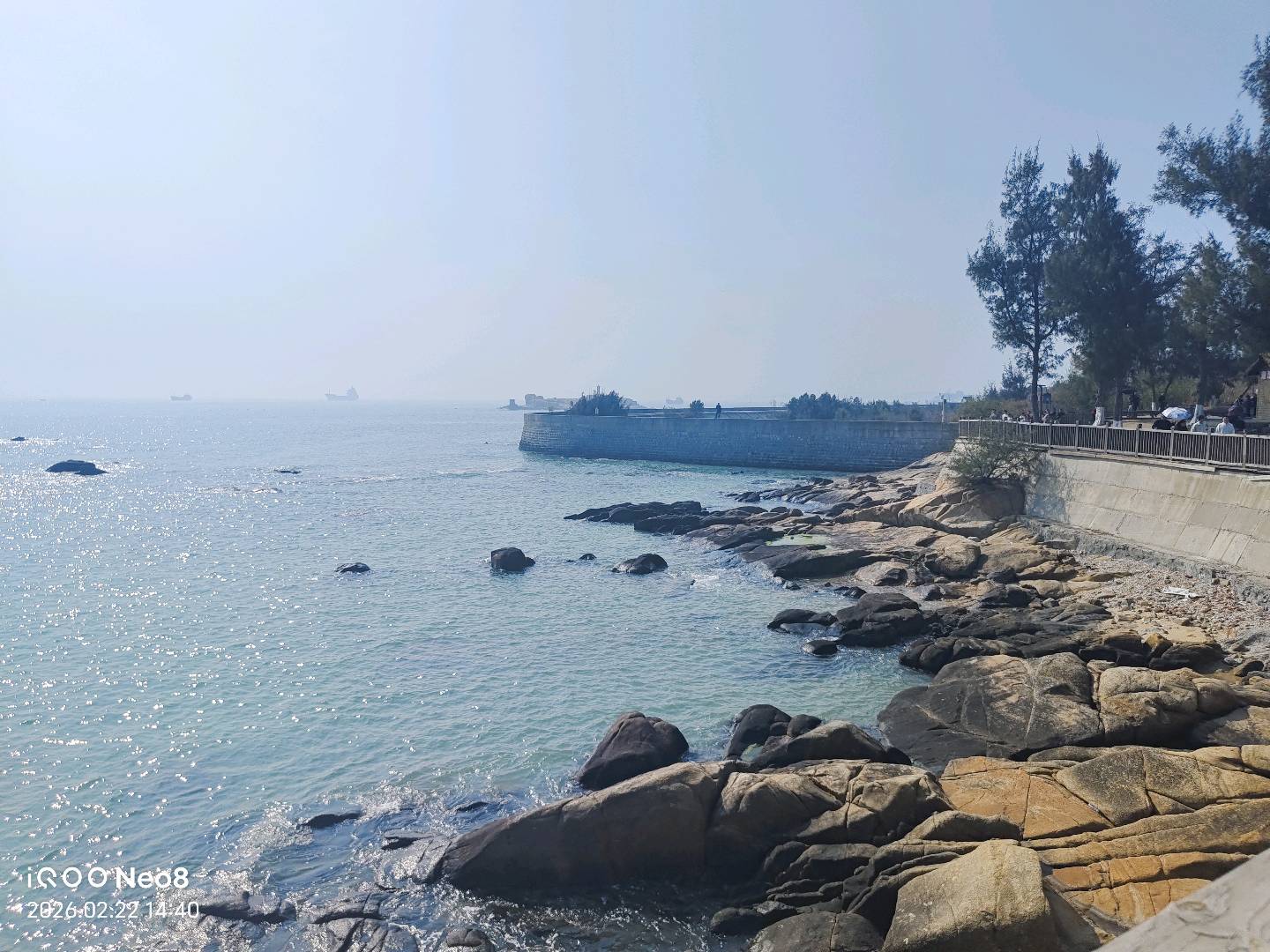 师兴红其他供需