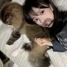 贺女士