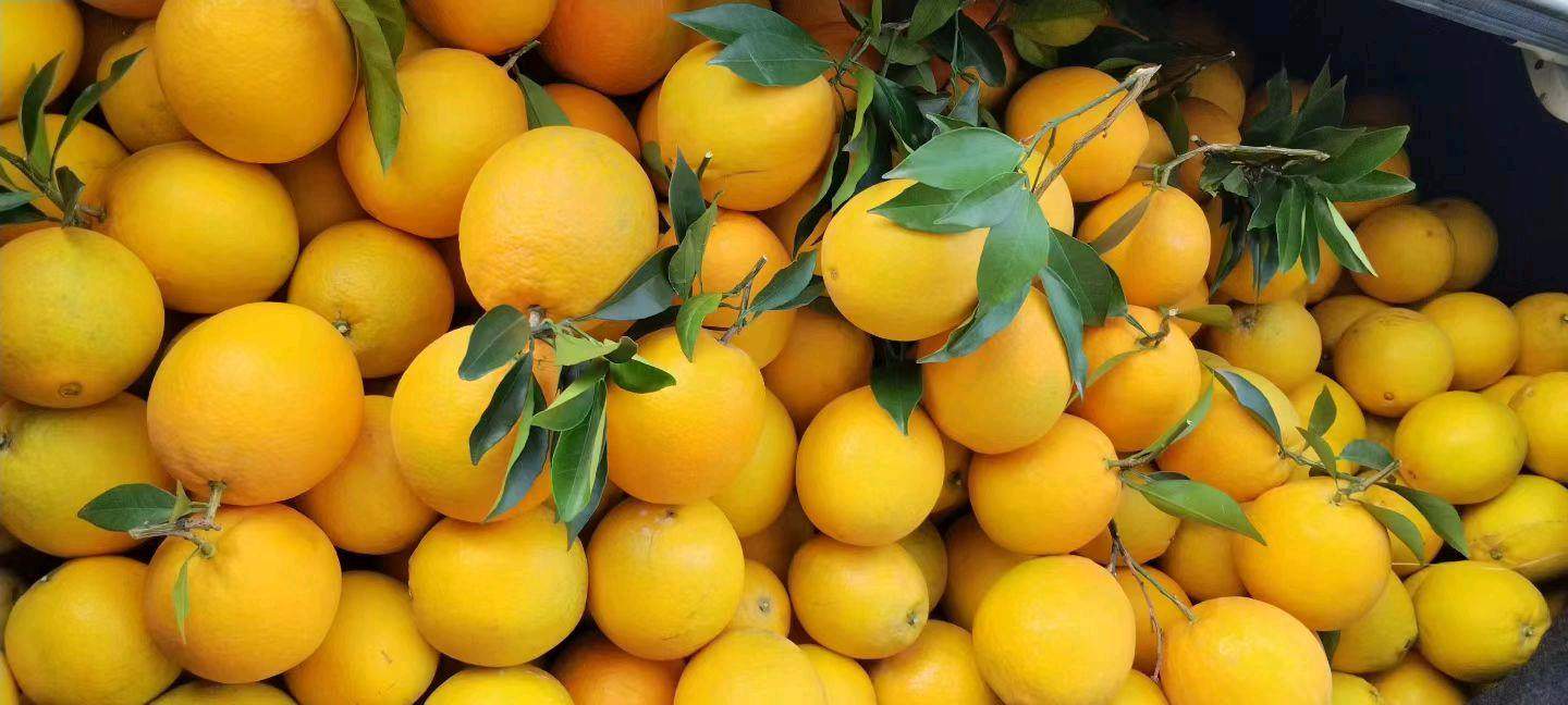 钟晓明品牌货源