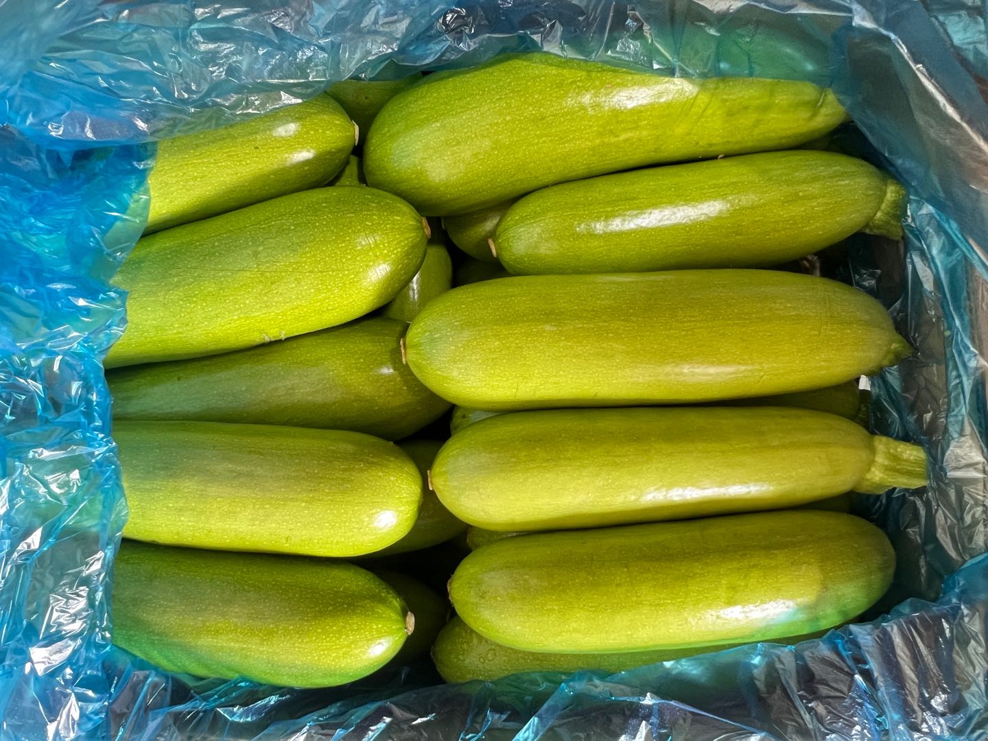 原向阳品牌货源