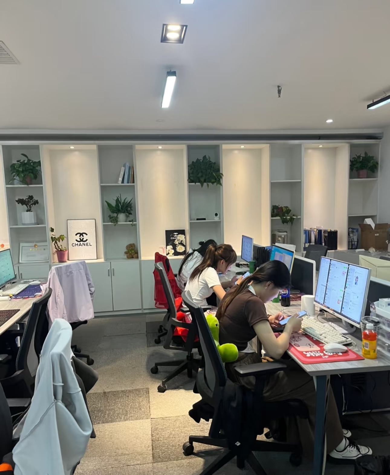 蒋先生其他供需客服团队寻求项目合作