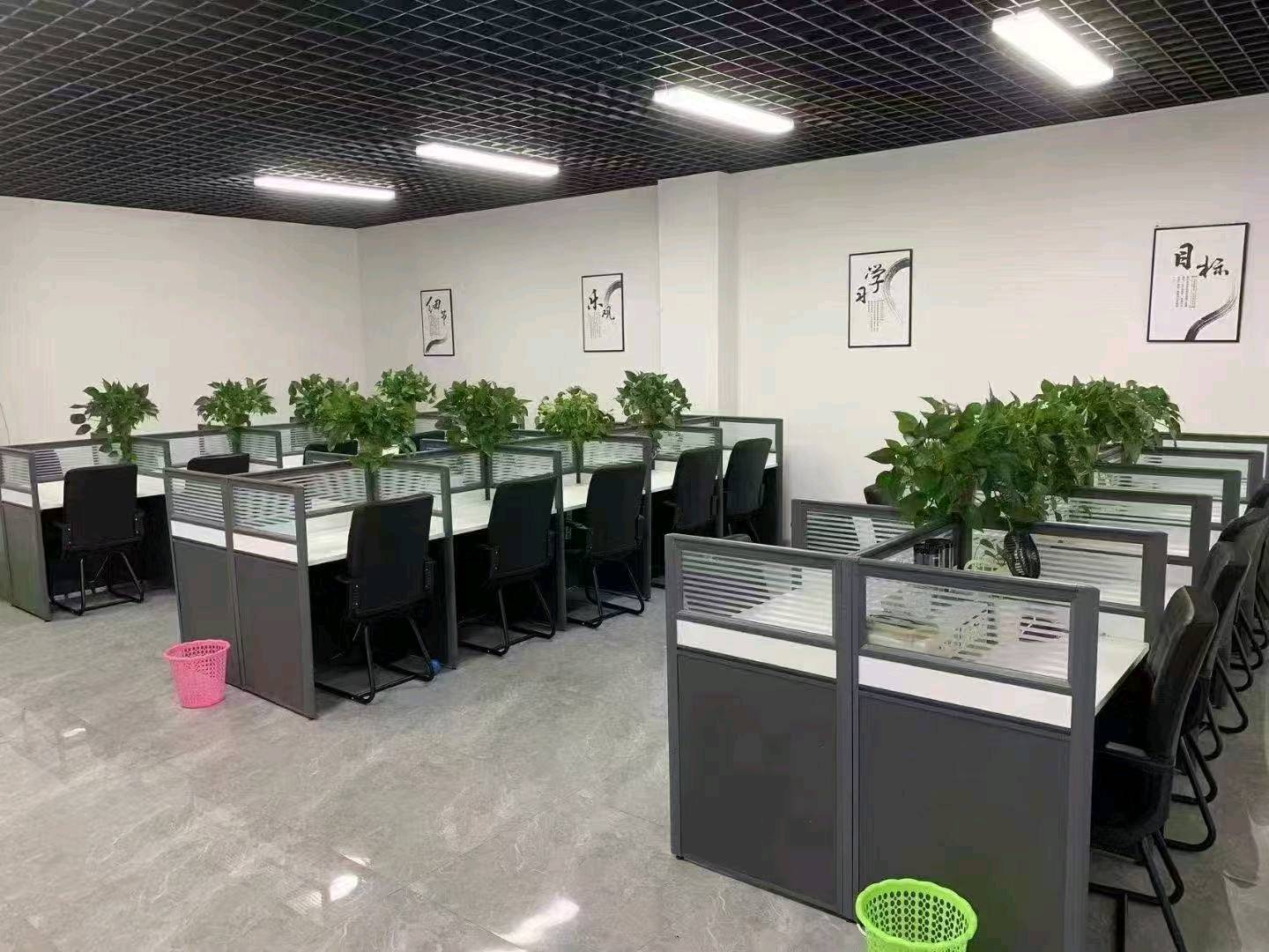 曲先生其他供需移动外包业务，实地教学，面对面教技术，迅速让公司成型