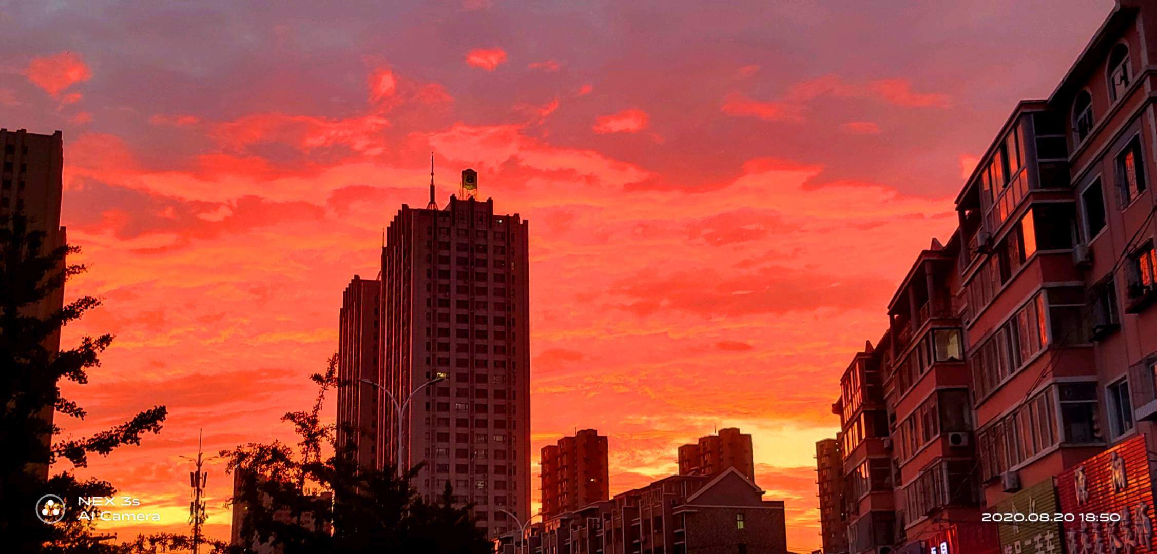 梁浩楠其他供需App拉新活动，超级简单全部自提，容易上手