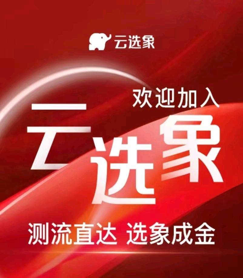 杨成找合伙人线上云选象商城运营