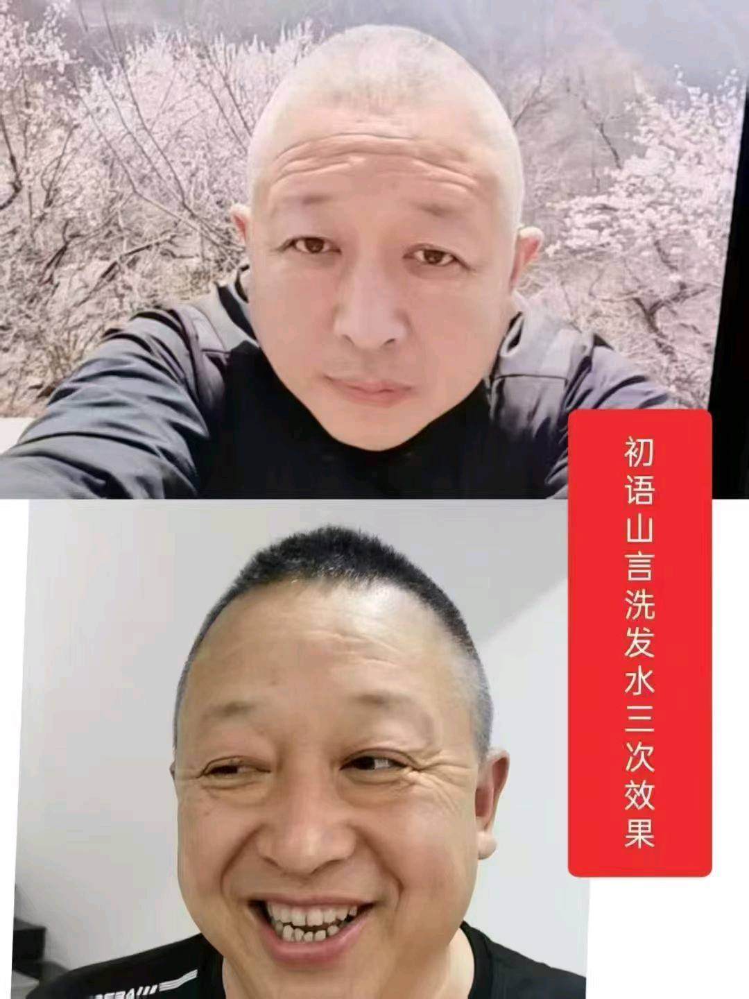 苟平找合伙人