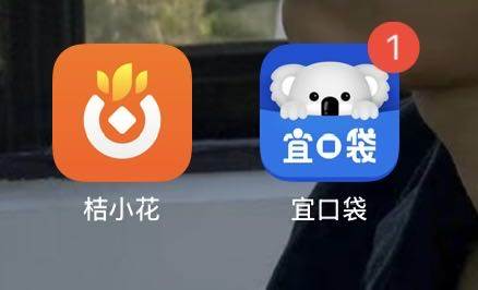 刘先生地推项目桔小花 宜口袋