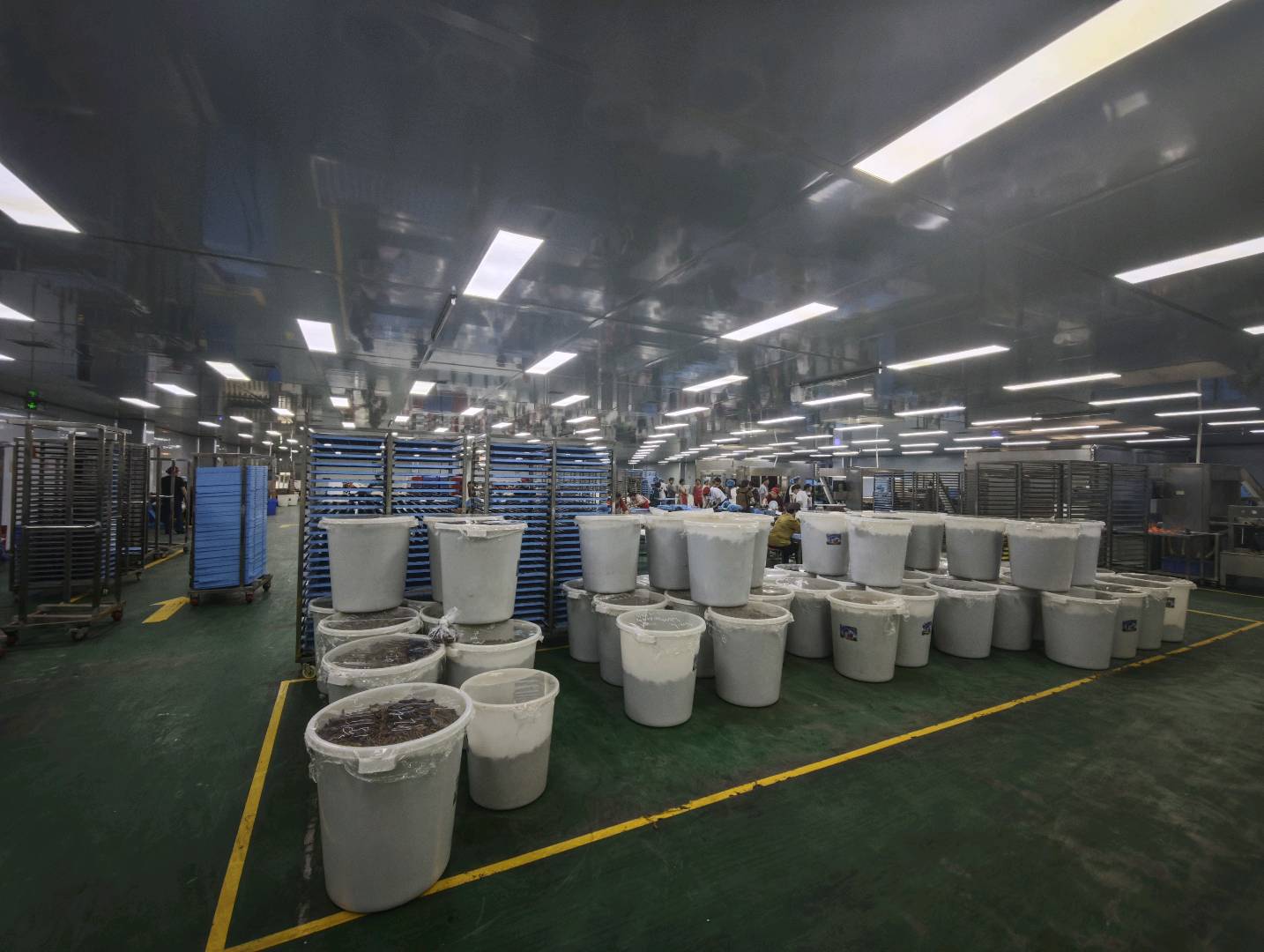 陈玉洁品牌货源