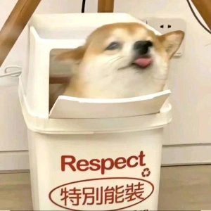 李昊哲