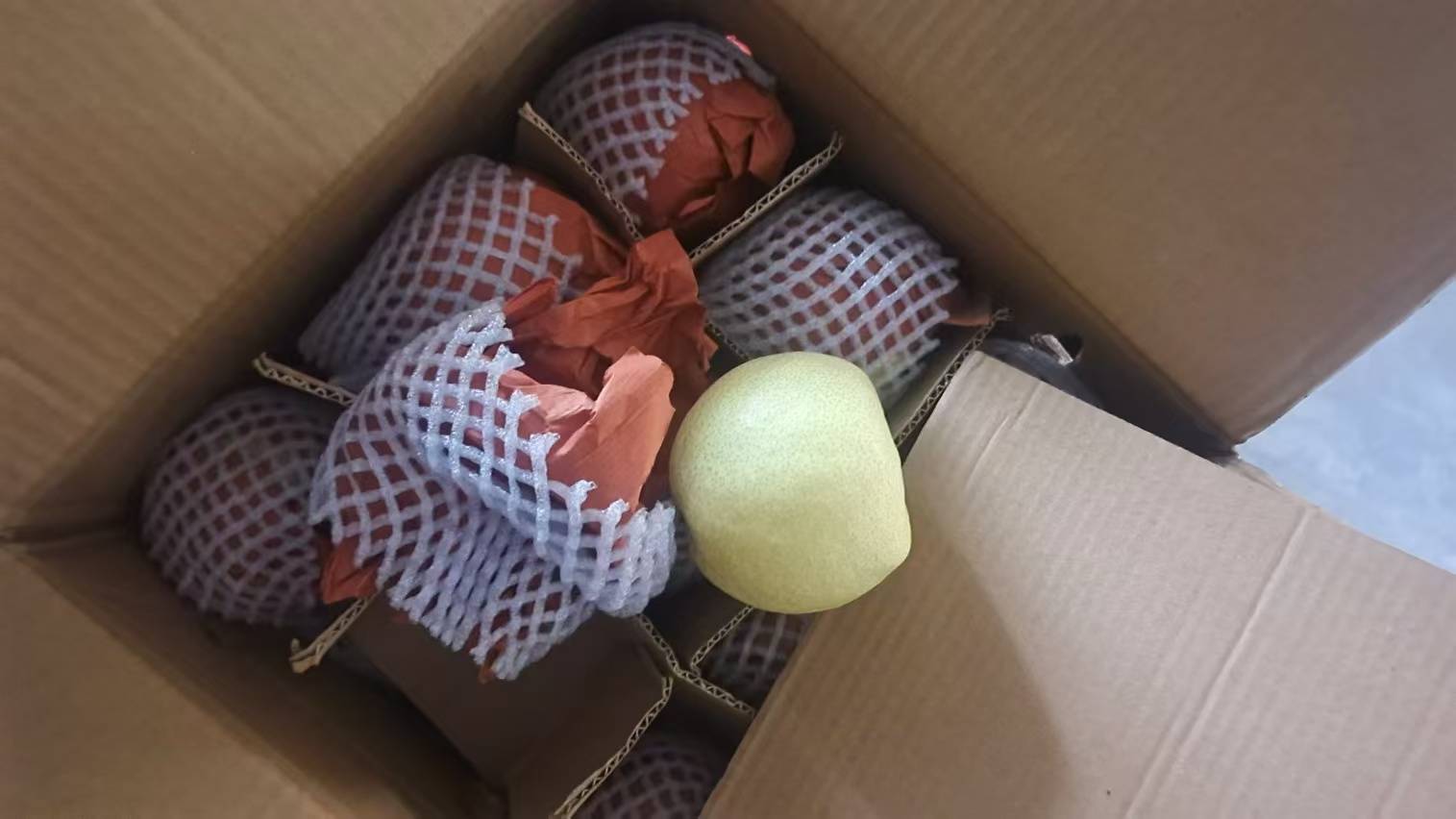 王特陕西礼泉酥梨，自家产地，可以批发，也可以一件代发，有1000吨货