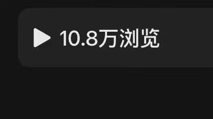 高女士找合伙人无门槛小白推文，一部手机随时随地