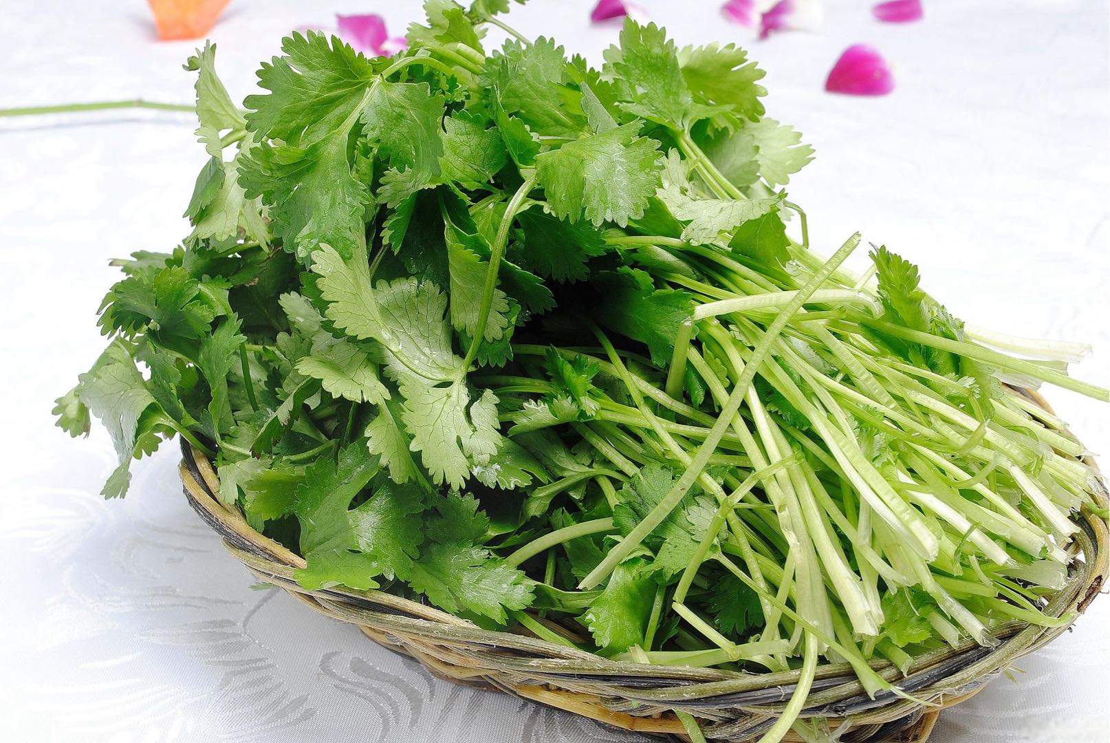 单启潮香菜，需要香菜的，联系我，家里有冷库