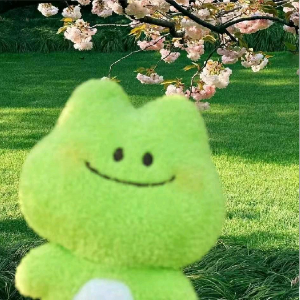 赵先生