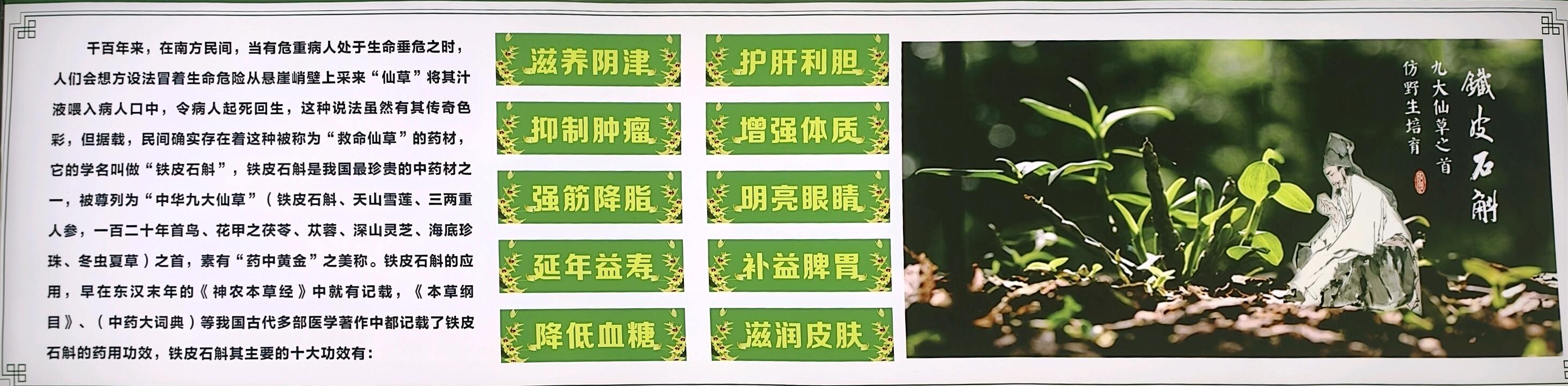 范先生找合伙人138元可得铁皮石斛长寿面一件即成代理同肘送一万加微信群