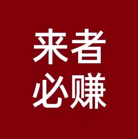 冯先生找合伙人游戏副业项目 小白可操作 ，日20-500+，全程无套路！