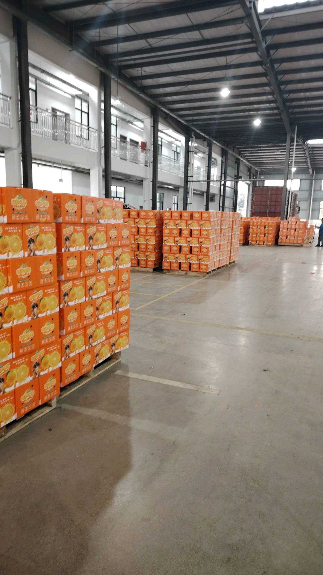 孟基立品牌货源四川耙耙柑、云南蓝莓产地直采源头加工厂寻找直播或短视频分销达人