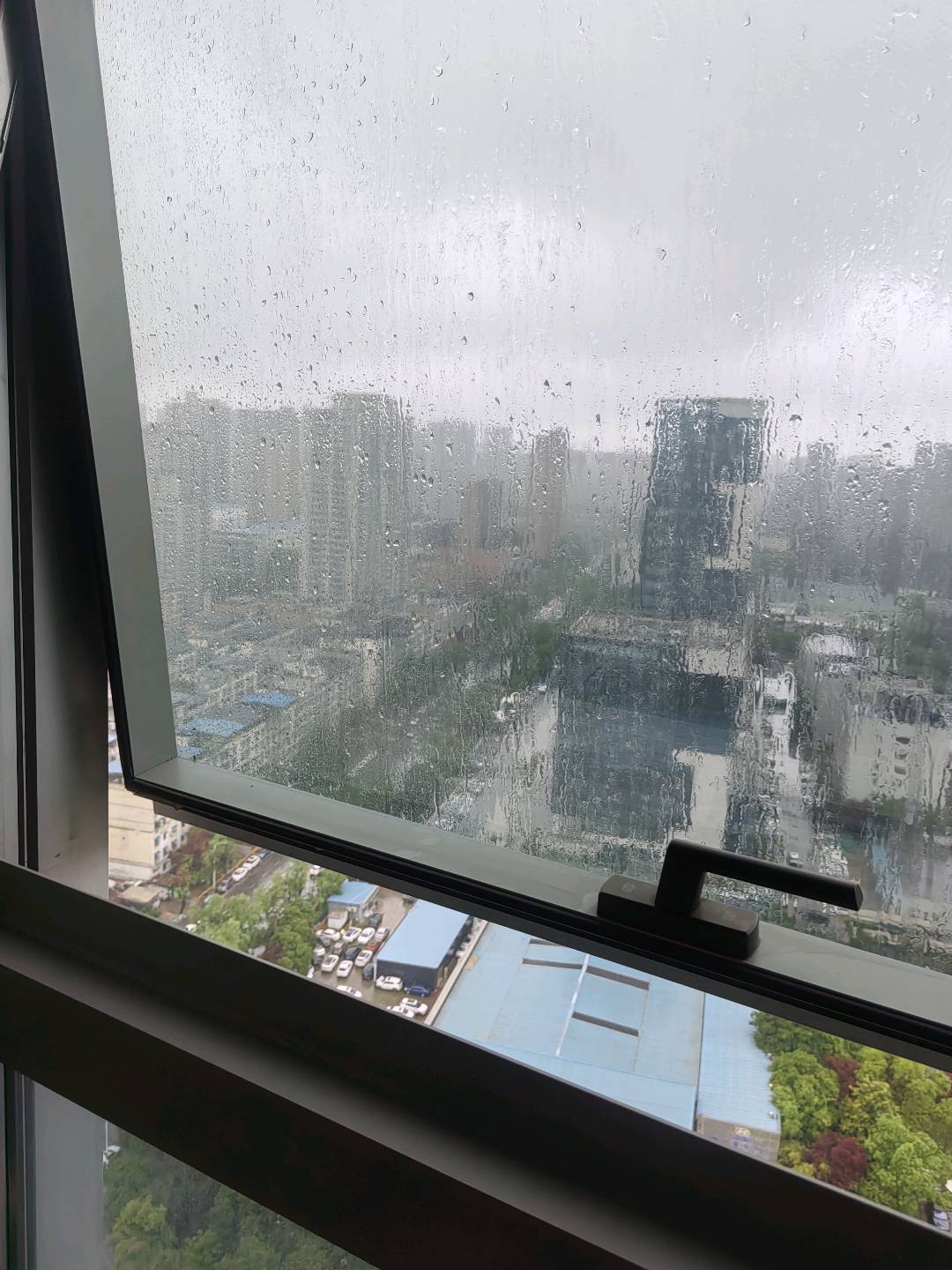 石婷婷找合伙人