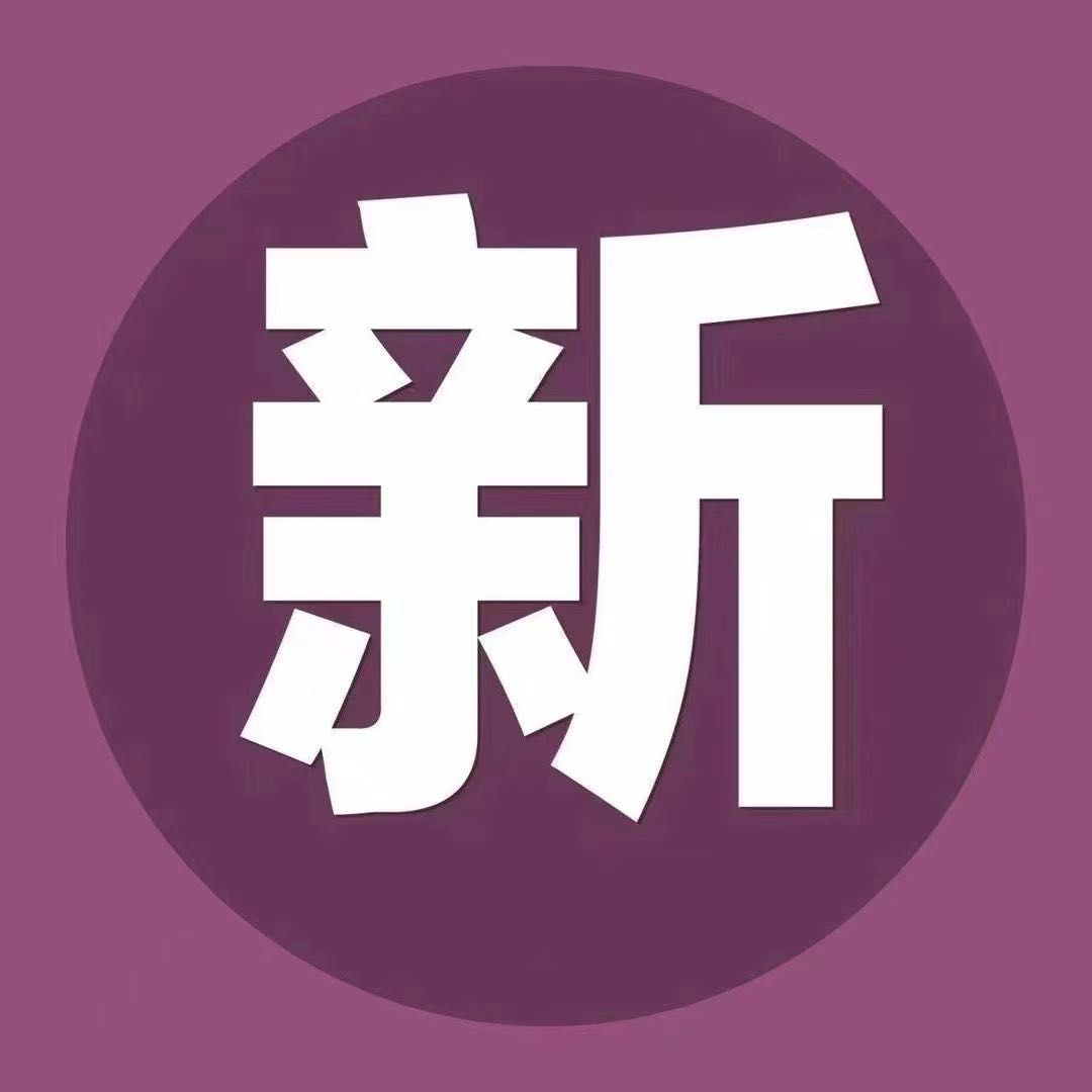 李先生找合伙人ai赚 美金项目