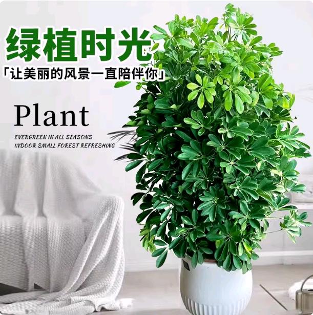 胡俊杰其他供需