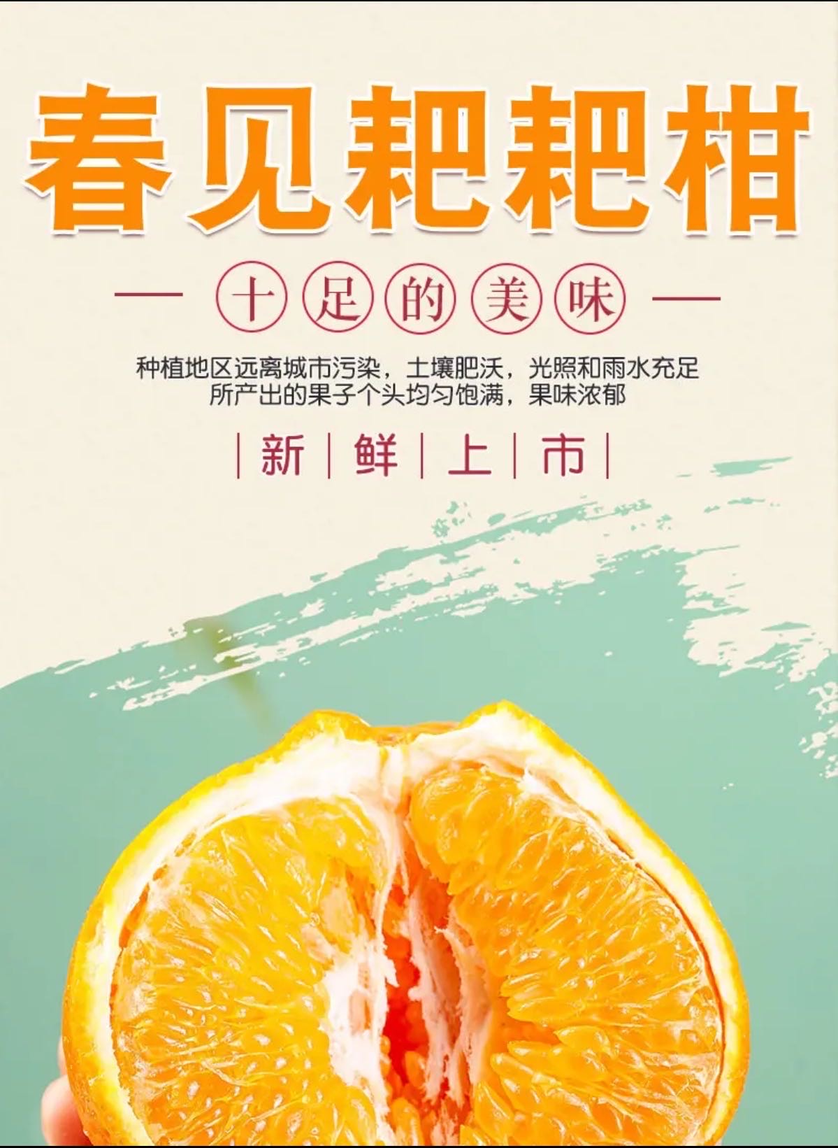 蒙焕利品牌货源四川自贡优选 耙耙柑 寻找直播带货，团长分销，供应链