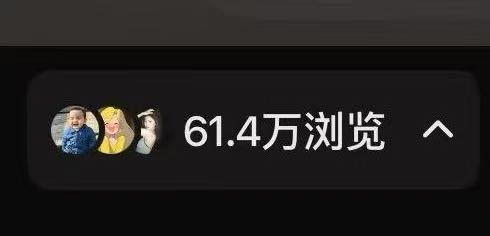 冶女士找合伙人