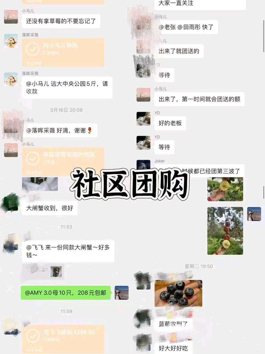 陈建销货渠道