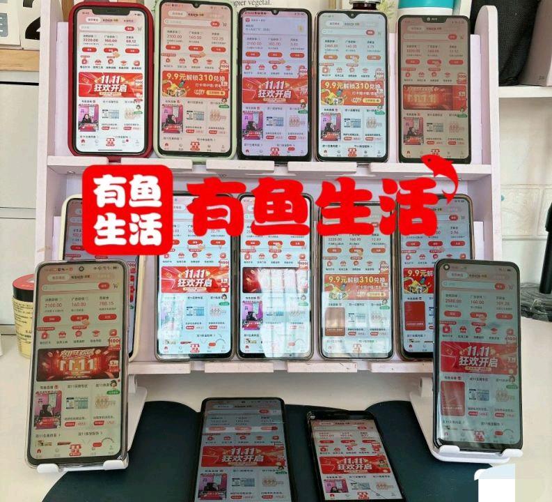 凌女士地推项目 国中数字集团有鱼生活文创电商平台