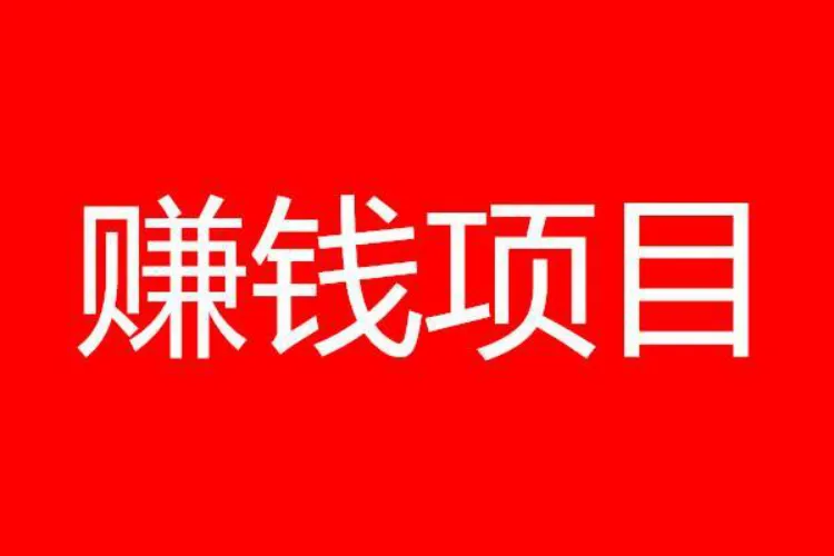 袁先生推广团队万人级人力资源找项目,有量有需求的来