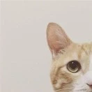 曹先生