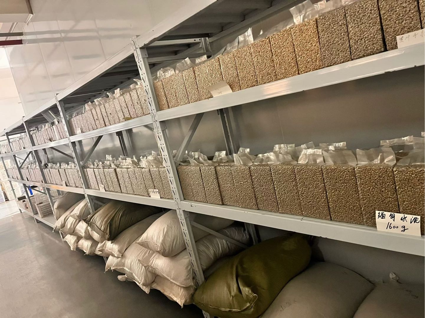 周先生品牌货源