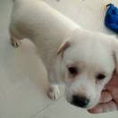 u客直谈实名认证刘杰