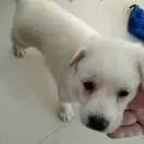 u客直谈实名认证刘杰