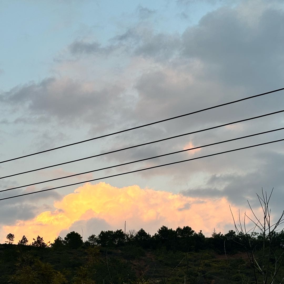 邱女士其他供需