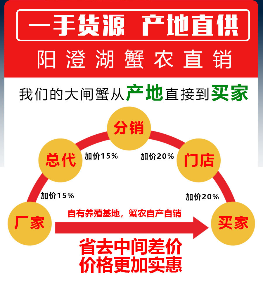 王新龙品牌货源阳澄湖大闸蟹代理