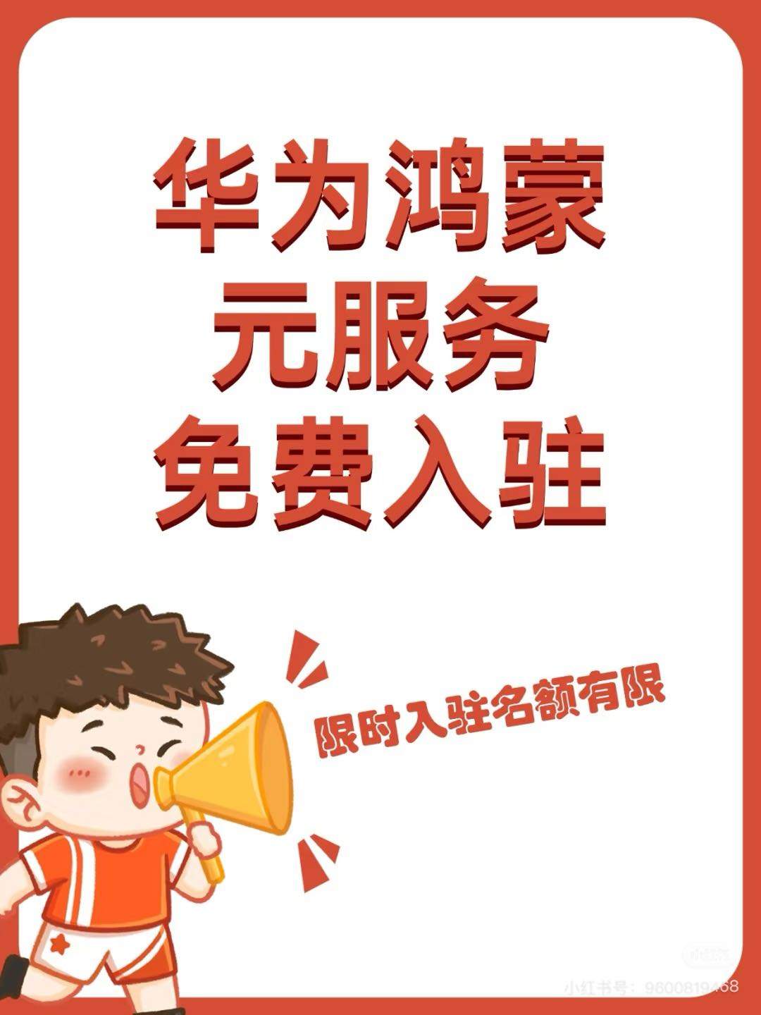 宁女士地推项目