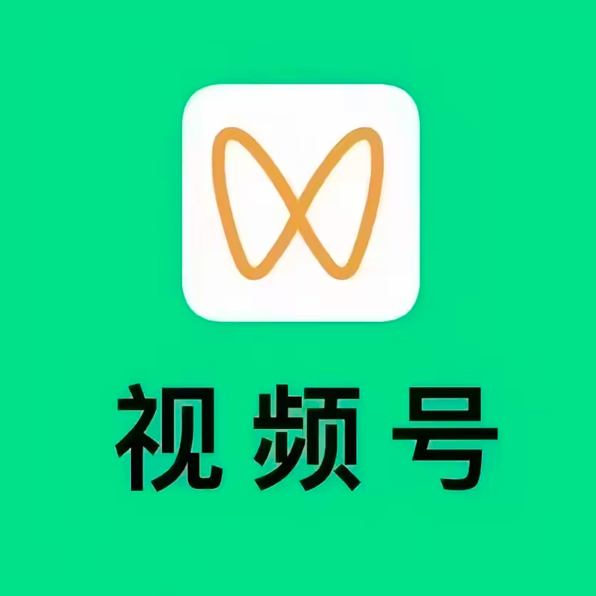 唐女士