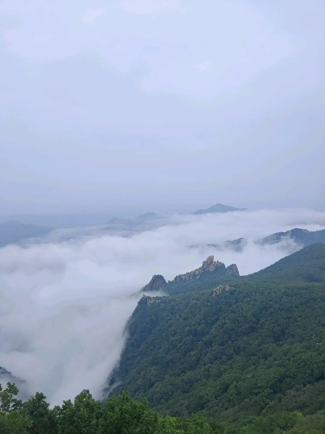 u客直谈实名认证马先生